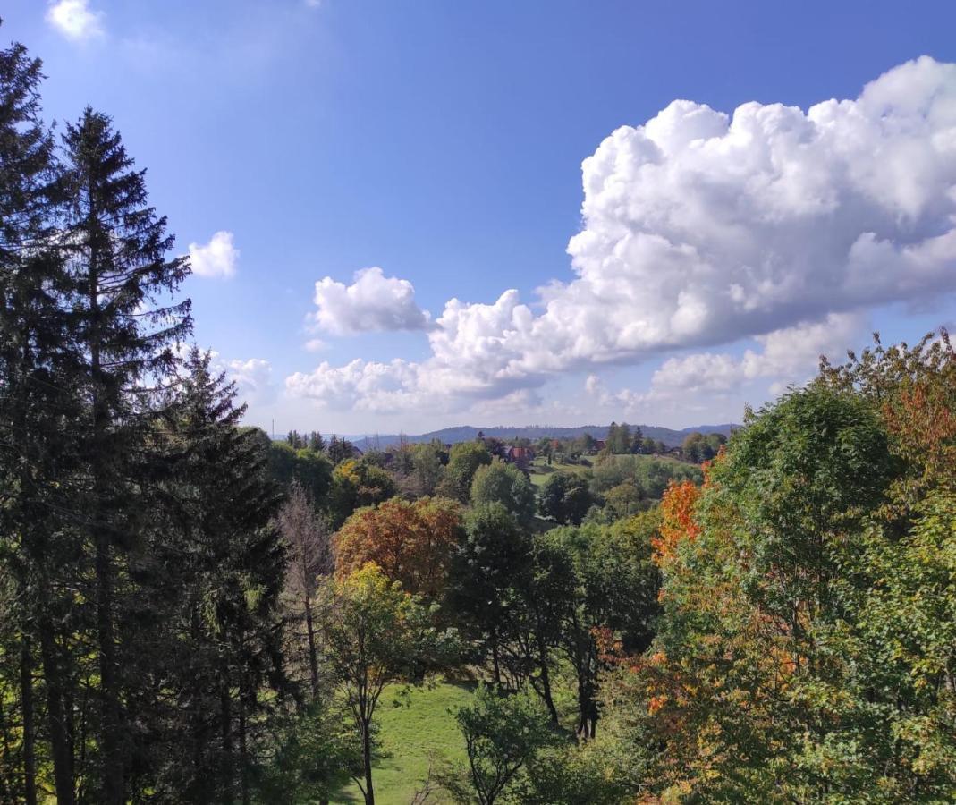 Fewo Harzer Weitblick, Hunde Willkommen, W-Lan, 2X Smart Tv, Dtv 4 Sterne, 4 Pfoten Braunlage Exterior photo